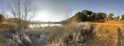4: 28-02-2019_estany_seva