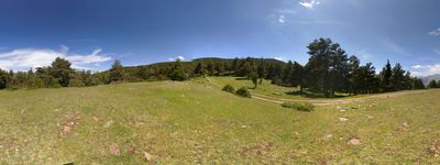6: 22-06-2019_pla_de_l_orri_de_tornafort