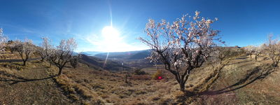 19: 20-02-2022_plana_mateu_claverol