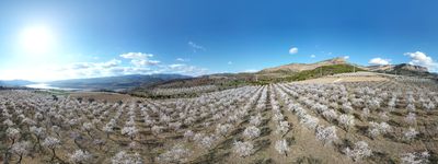 82: 28-02-2022_sant_marti_de_canals_seixos_florits