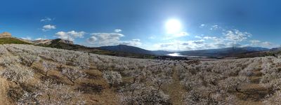 83: 28-02-2022_sant_marti_de_canals_seixos_florits