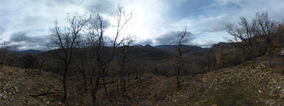 15: 21-03-2022_pui_de_segur