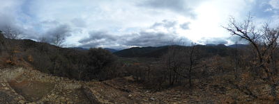 17: 21-03-2022_pui_de_segur