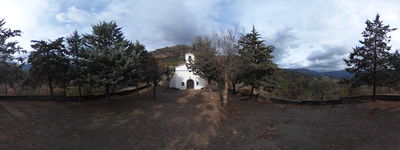 Pui de Segur