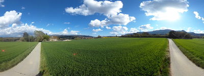 Puig de Balenya