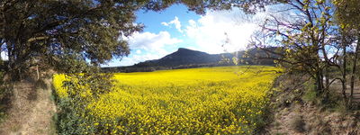 Puig de Balenya