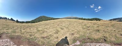 16: 28-08-2022_prat_montaner