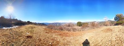 21: 03-03-2023_planell_dels_moltons