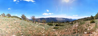 Solana Dels Coms