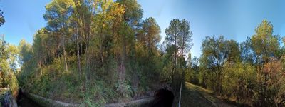 5: 28-09-2023_la_solaneta_canal_de_sossis