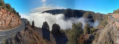 5: 12-01-2024_comiols