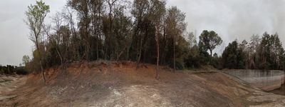42: 07-04-2024_panta_vell_de_vallllosera
