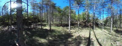 87: 09-05-2024__esbarsabina