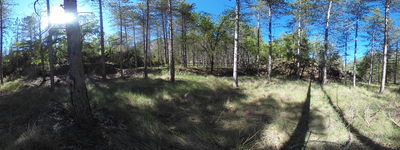 88: 09-05-2024__esbarsabina