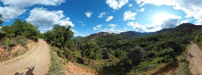 13: 16-05-2024__erinya_sant_isidre
