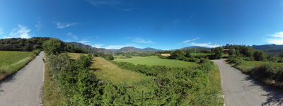 R Peramea