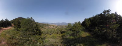 R Montsor
