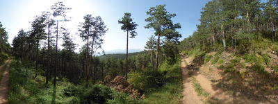 22: 28-06-2024__pla_de_llac_de_perauba