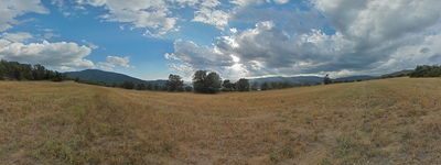 168: 01-09-2024_llavaes
