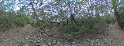 169: 01-09-2024_barranc_de_miret