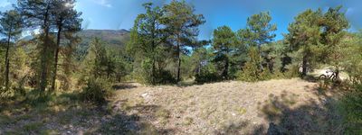 Molina de Carreu