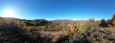42: 11-11-2024__el_burguet