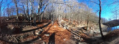 7: 12-01-2025_santa_fe_del_montseny