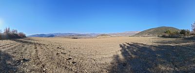 41: 06-02-2025_c_el_pui_de_l_anell