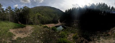 61: 21-05-2025_mg__malallau