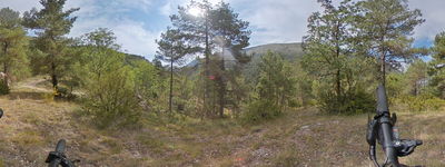 70: 13-08-2025__molina_de_carreu