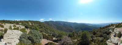 9: 23-08-2025__espla_muntanya_de_cuberes