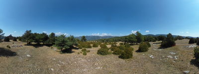 12: 23-08-2025__espla_muntanya_de_cuberes