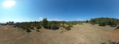 13: 23-08-2025__coll_de_solduga