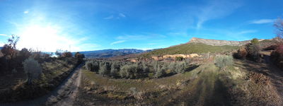 5: 24-12-2025__els_prats