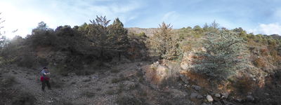 23: 09-02-2026_el_barranc_a_la_font_de_la_figuera