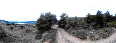 45: 09-02-2026_sortida_del_sender_de_les_fonts